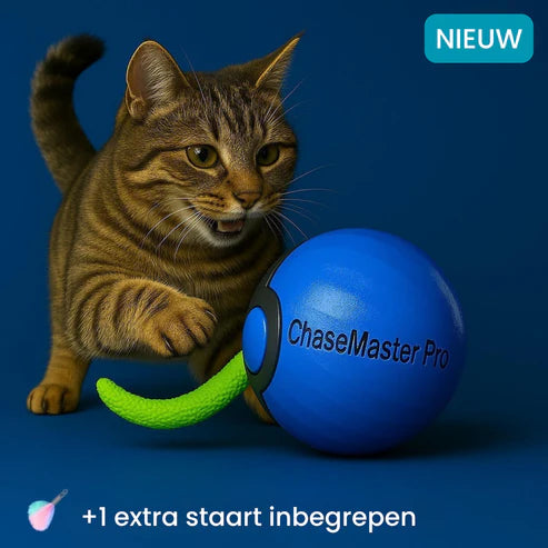 Chase Master Pro