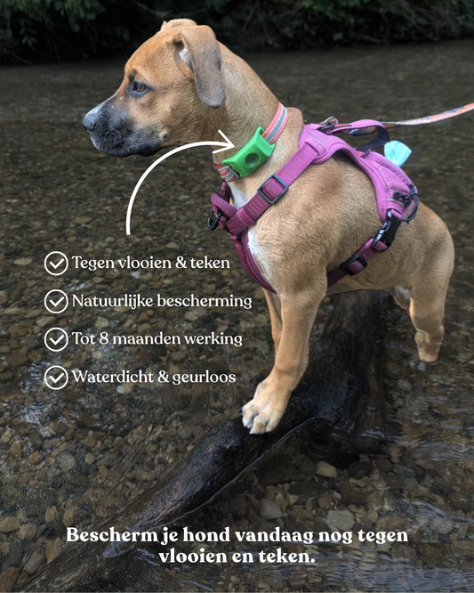 teken en vlooien tag / halsband voor honden